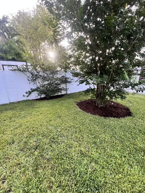 Tree planting and mulch bed installation in Cutler Bay, FL