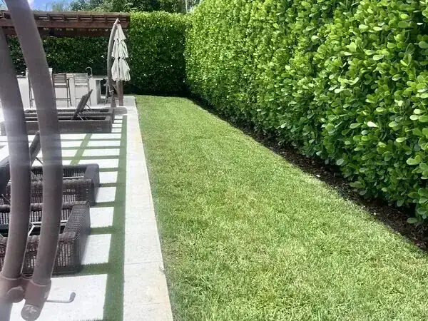 Tree service in Cutler Bay, FL