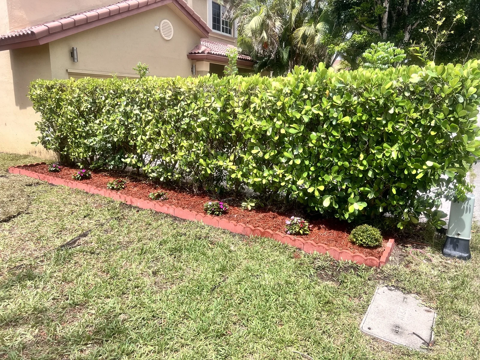 Manicured hedge and flower bed landscaping in Cutler Bay, FL