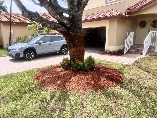 Tree mulch ring installation in Cutler Bay, FL