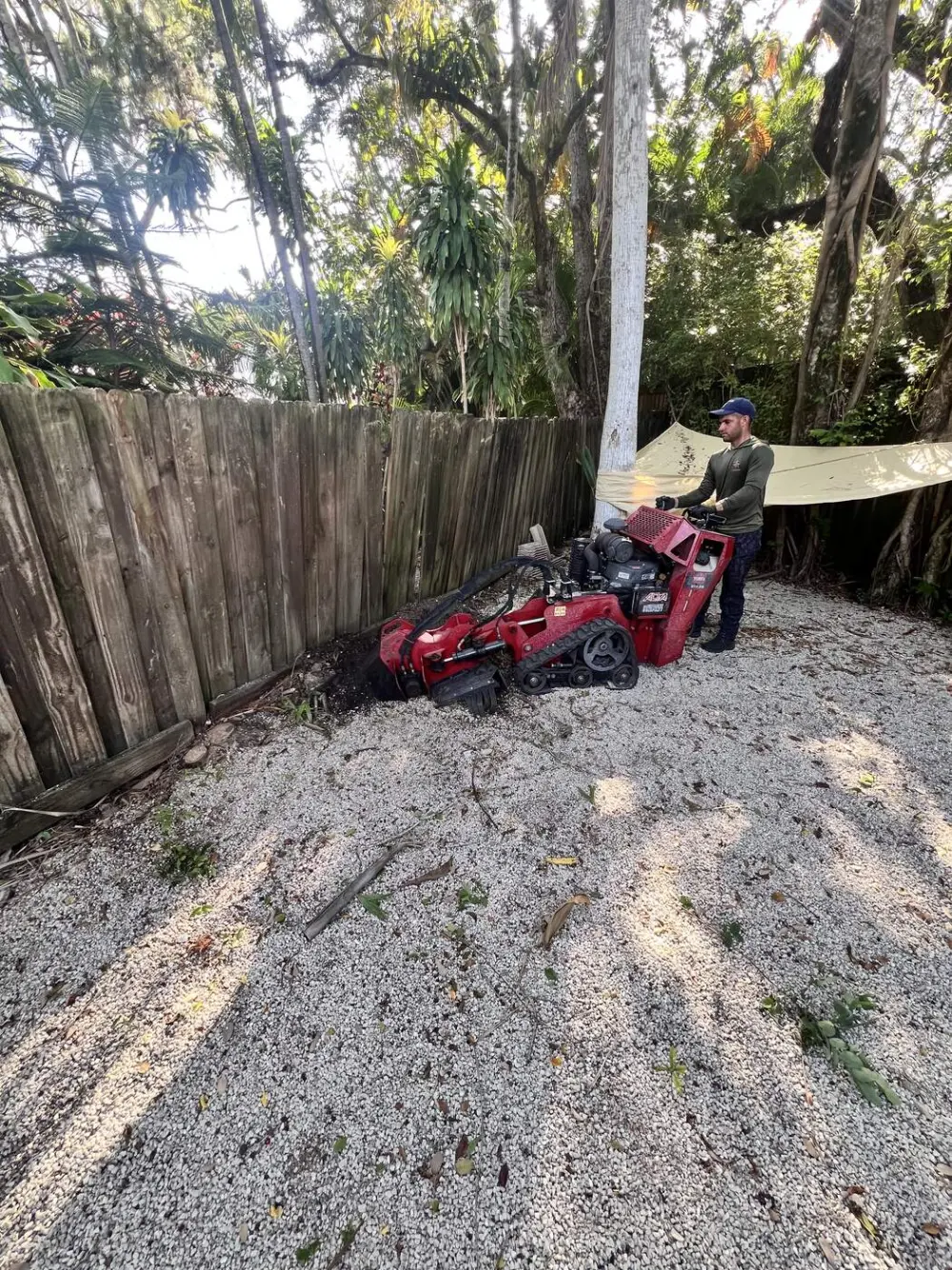Stump Grinding in Cutler Bay, FL