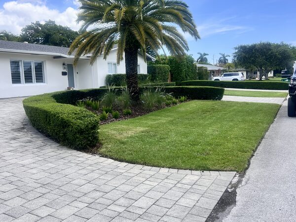Hedge and bush trimming in Cutler Bay, FL
