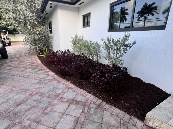Mulch Installation in Cutler Bay, FL