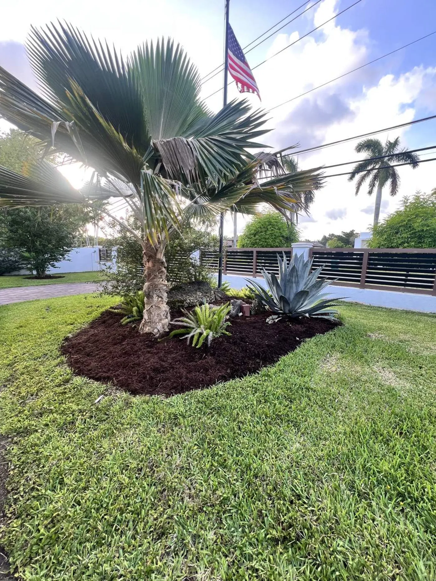 Native and drought tolerant planting design in Cutler Bay, FL