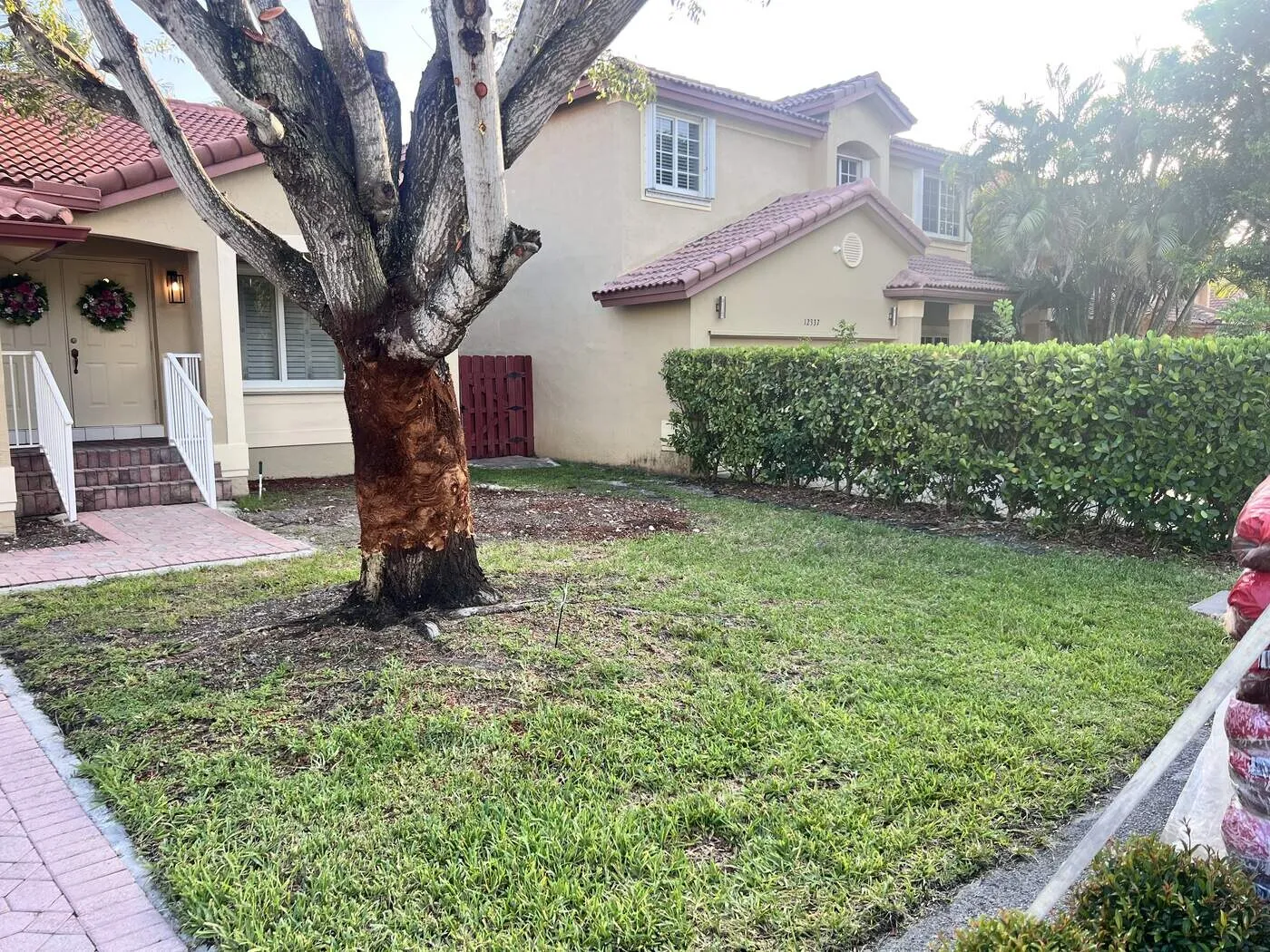 Tree Trimming and Removal in Cutler Bay, FL