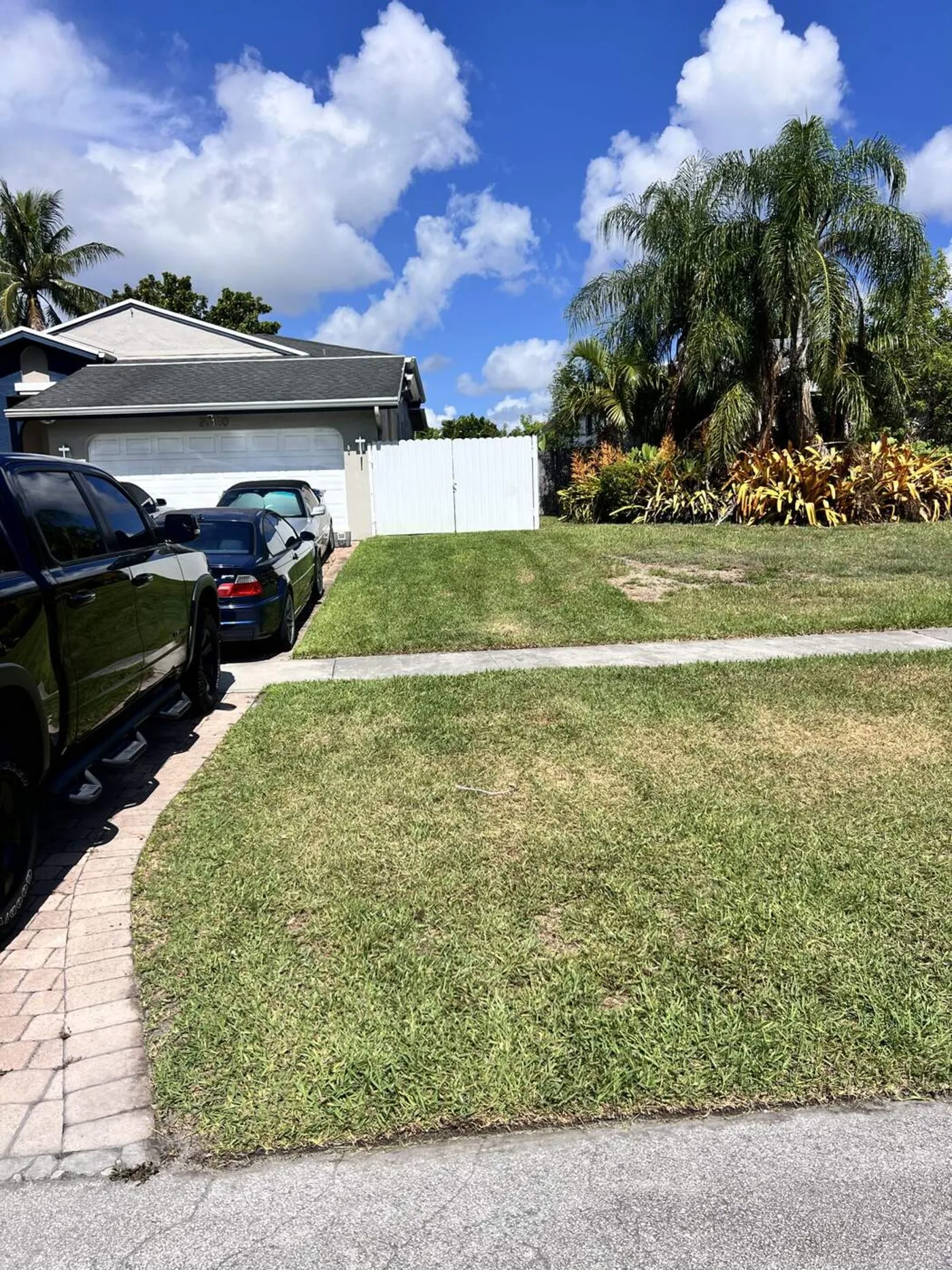 Weed control lawn treatment in Cutler Bay, FL
